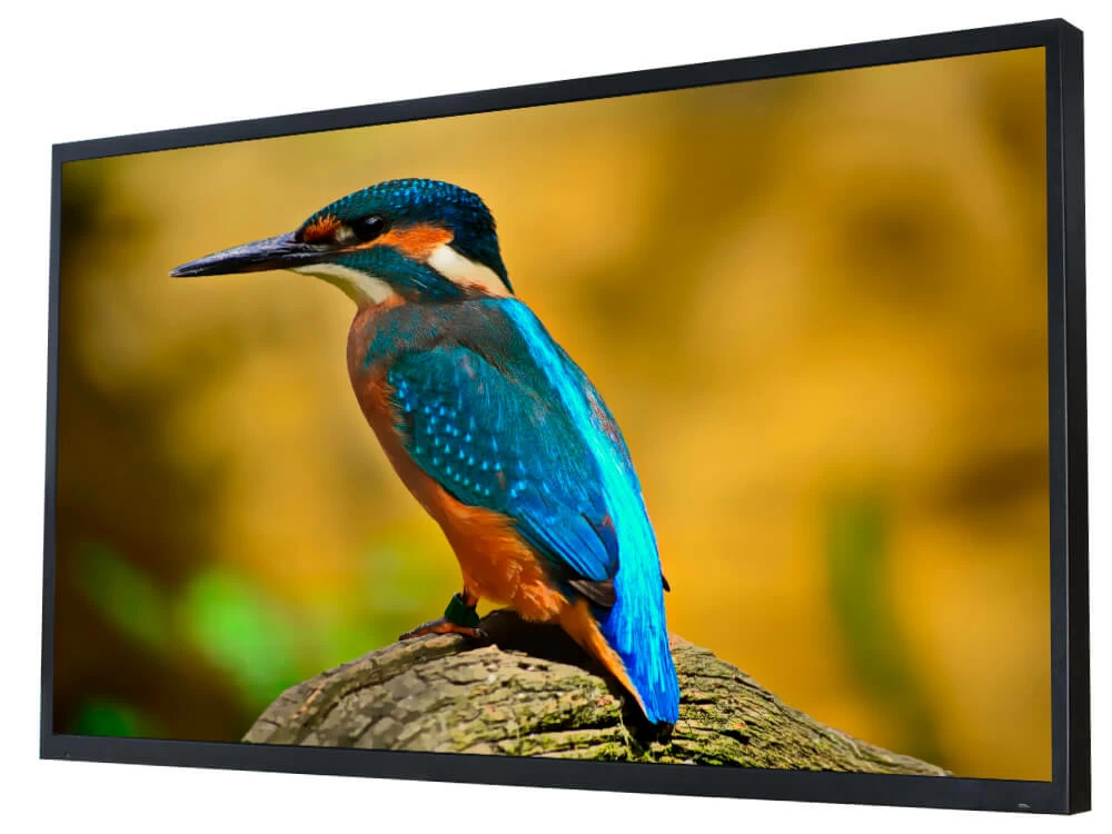 Влагостойкий Smart Ultra HD (4K) LED телевизор AVS550OT